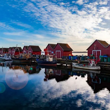 Apartmán Seeschwalbe Whg Sew04